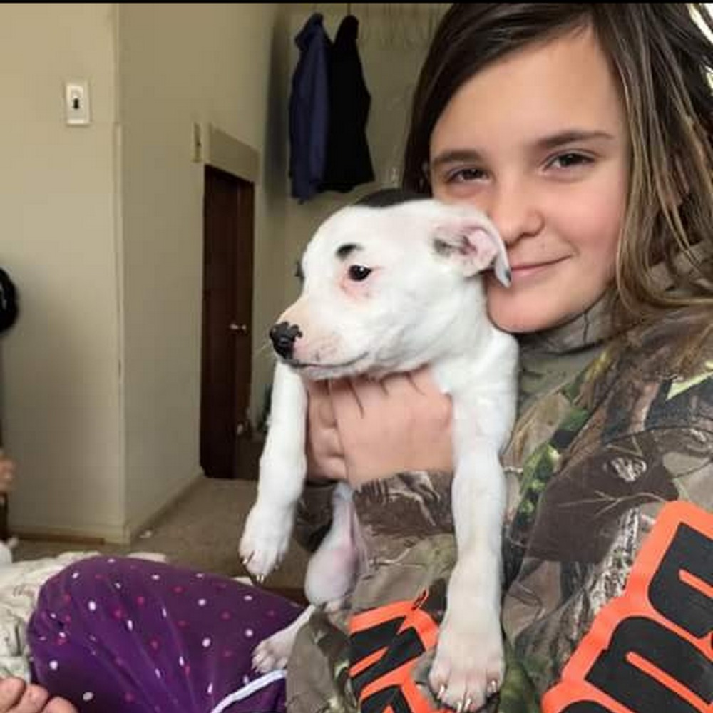 Meet your Posher, Taylor